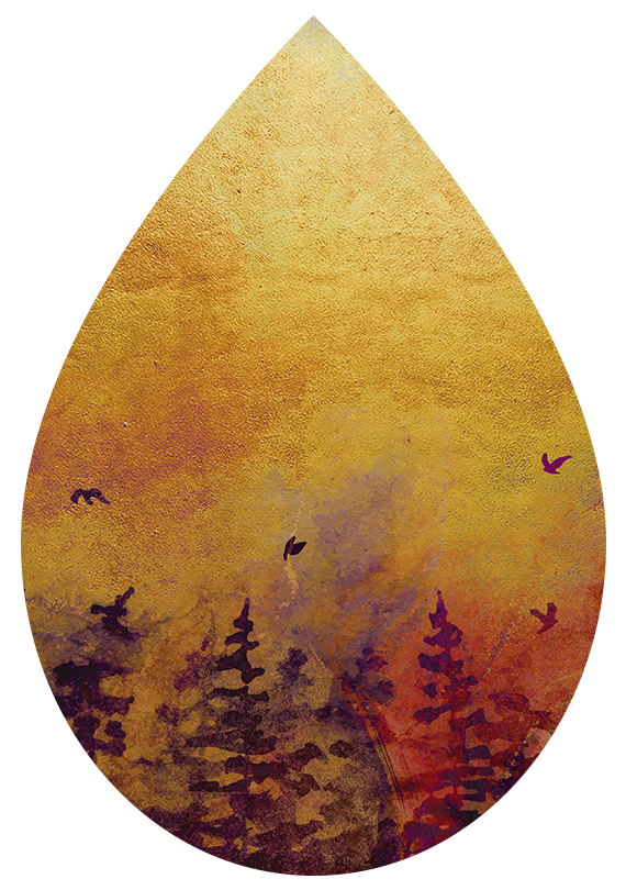 Woods Earrings