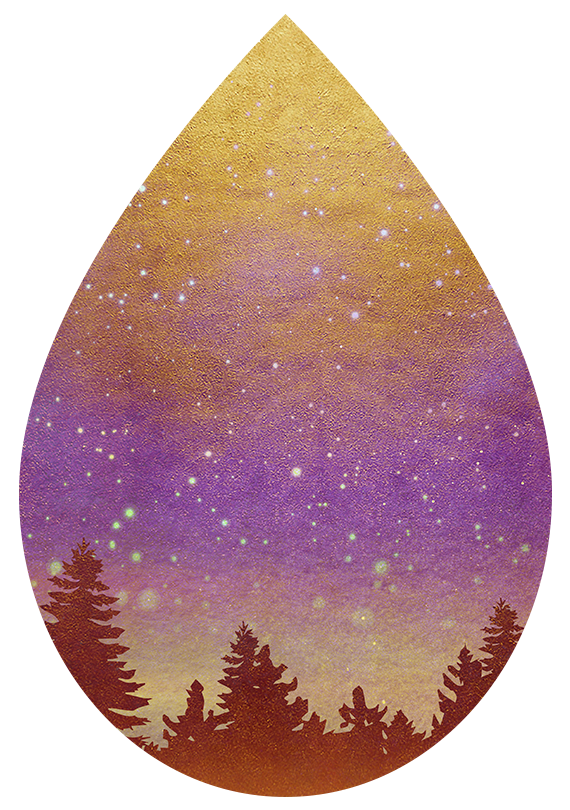 Sunset Woods Earrings