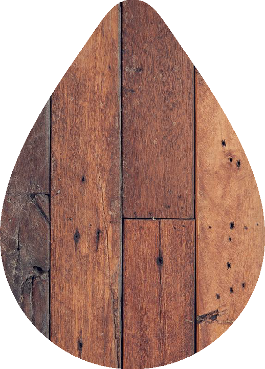 Wood Plank Earrings