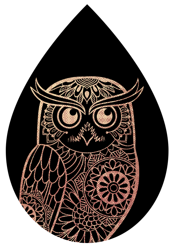 Owl Earrings
