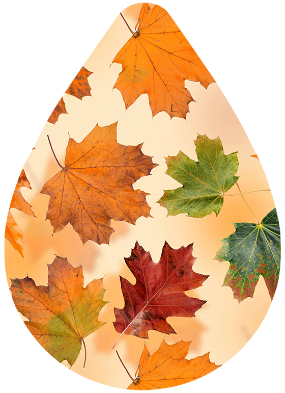 Fall Leaves Earrings